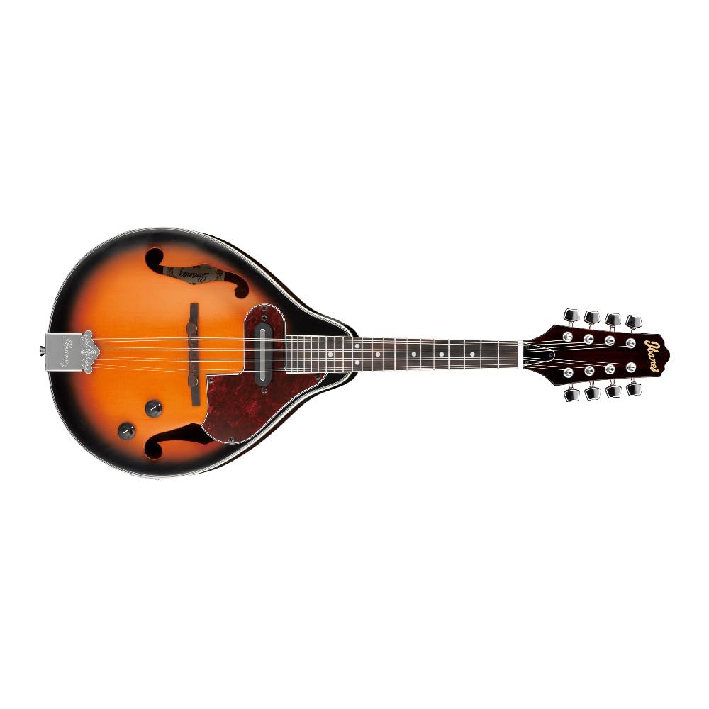 Acoustic-electric Mandolin P670235