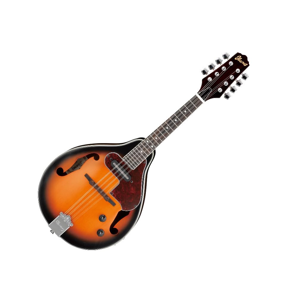 Acoustic-electric Mandolin P670235