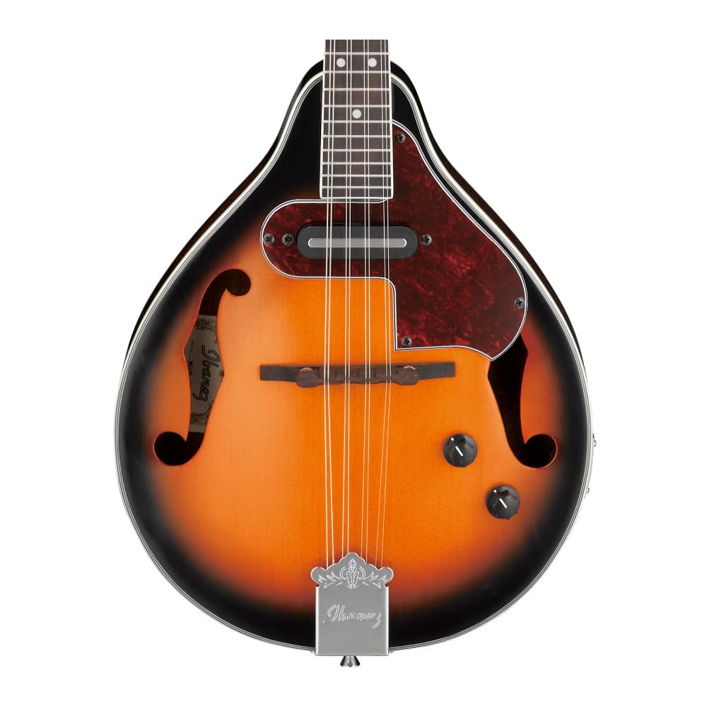 Acoustic-electric Mandolin P670235