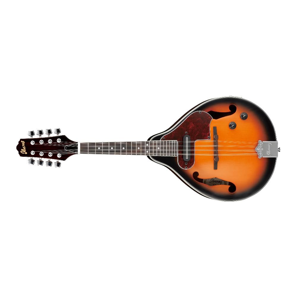 Acoustic-electric Mandolin P670235