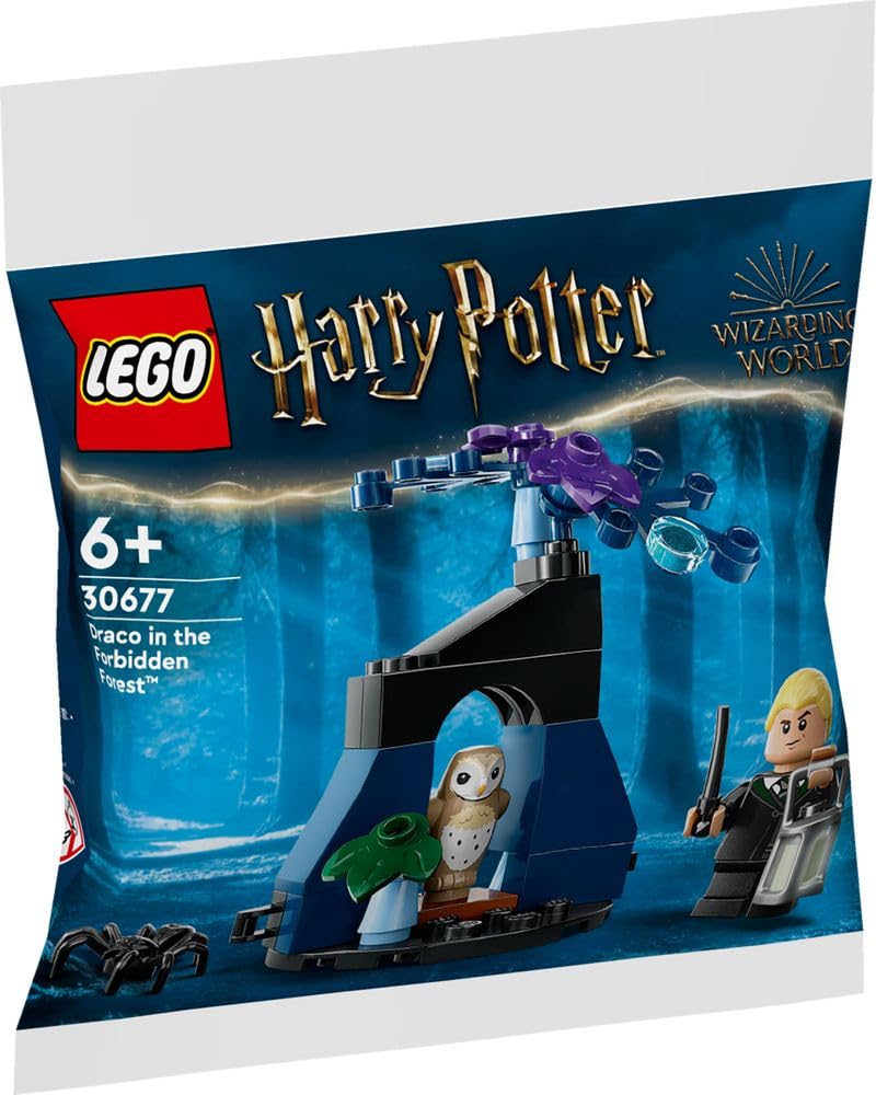 LEGO Harry Potter Polybag J5699