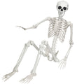Life Size Posable Skeleton S731