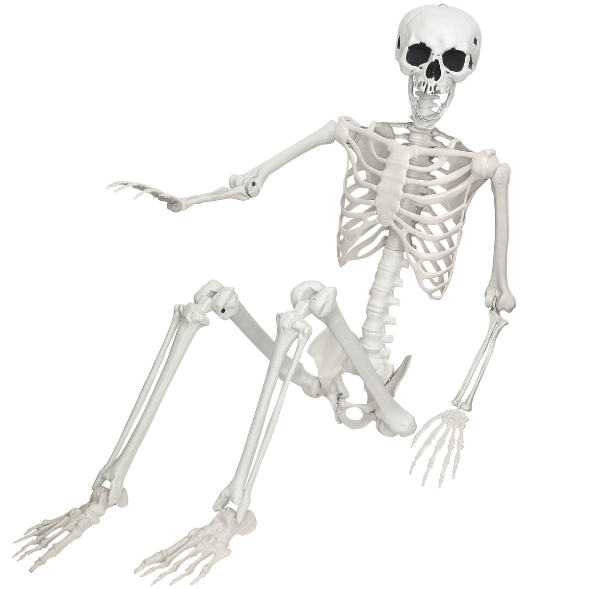 Life Size Posable Skeleton S731