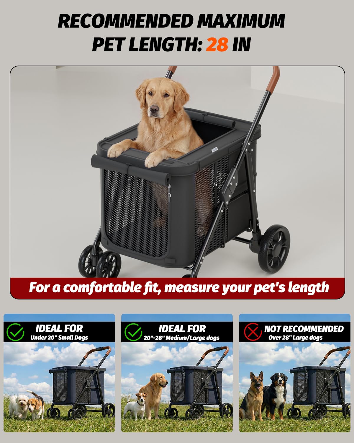 Black Dog Stroller F175