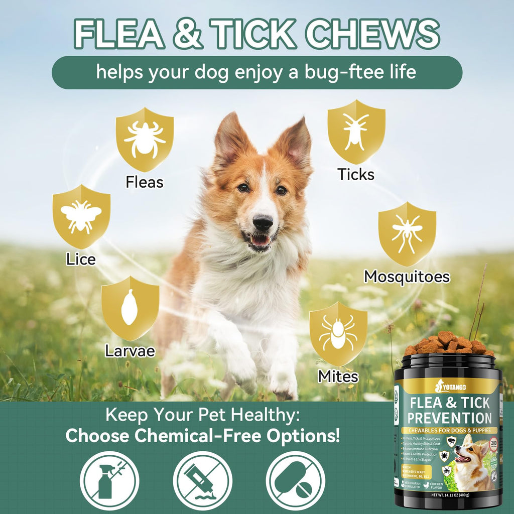 Flea and Tick Prevention for Dogs Chewable 200 Ct N297026