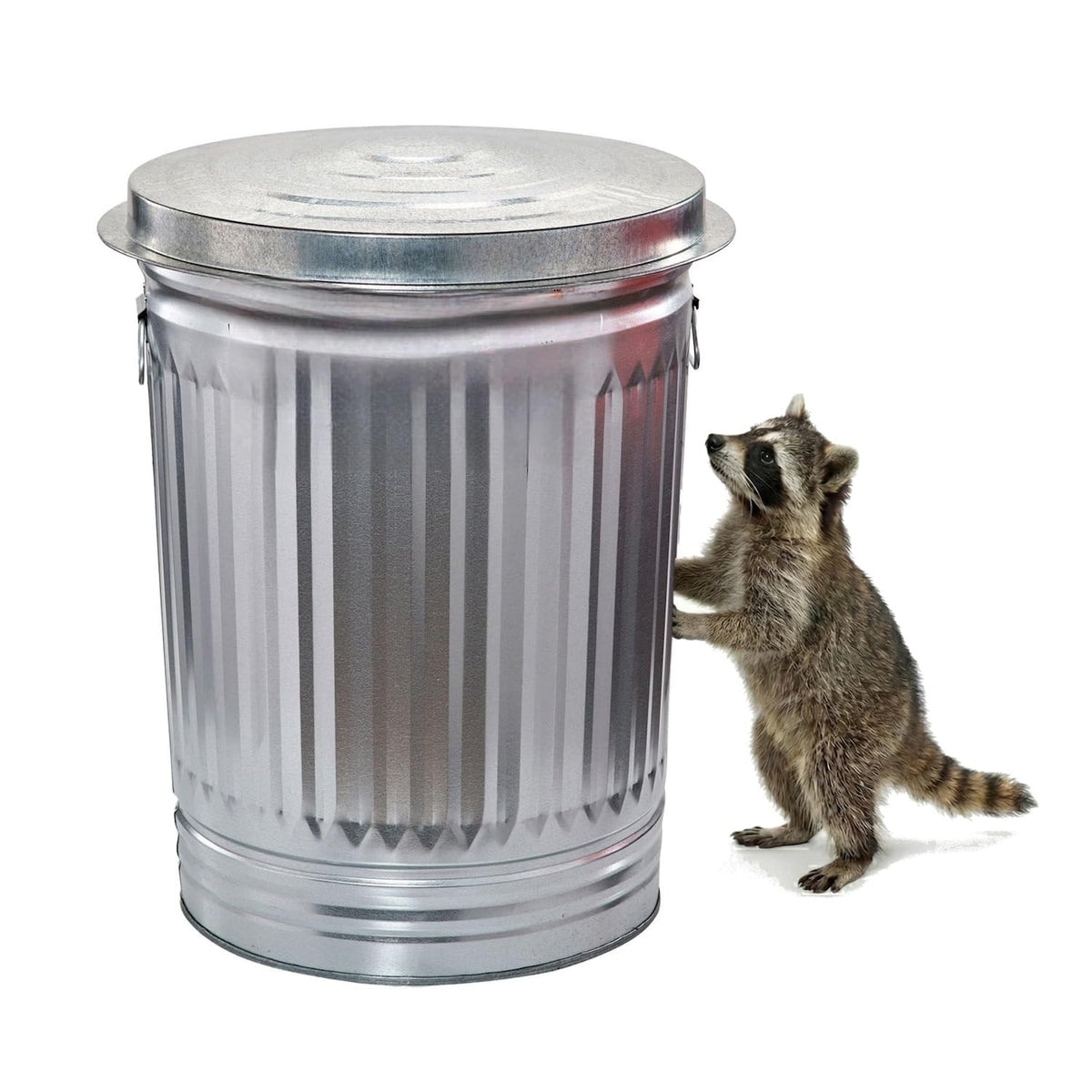 31 Gallon Galvanized Steel Locking Lid Trash Can E63691