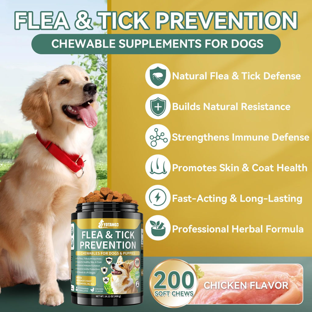 Flea and Tick Prevention for Dogs Chewable 200 Ct N297026