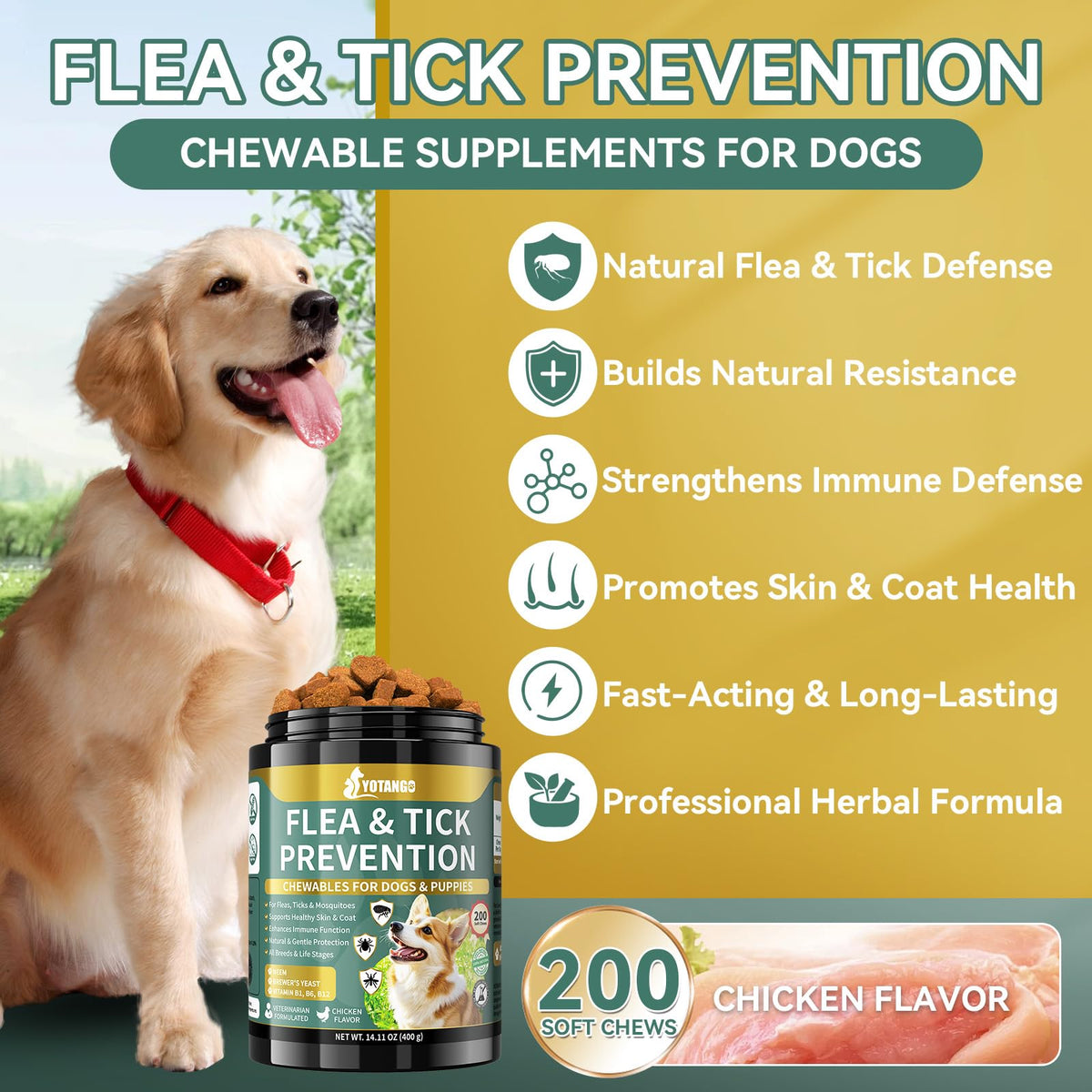 Flea and Tick Prevention for Dogs Chewable 200 Ct N297026