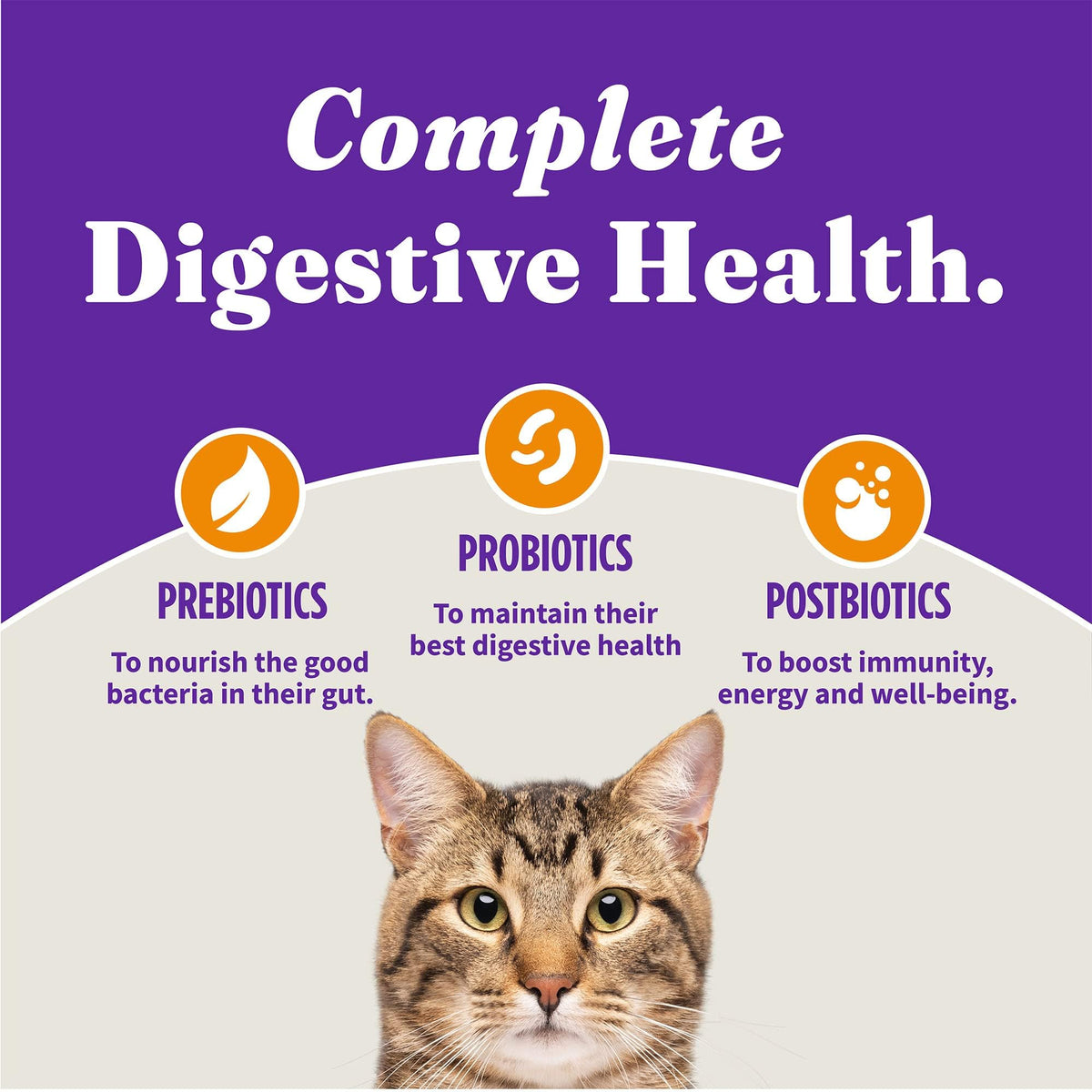 Indoor Dry Cat Food Cage-Free Chicken 10 lb W819855