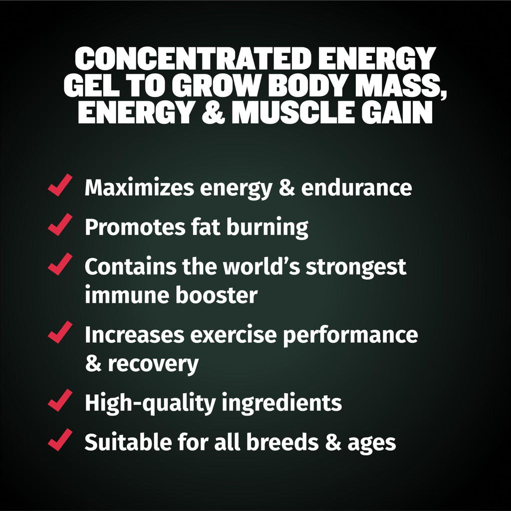 Dog Muscle & Weight Gain Liquid Bundle G957