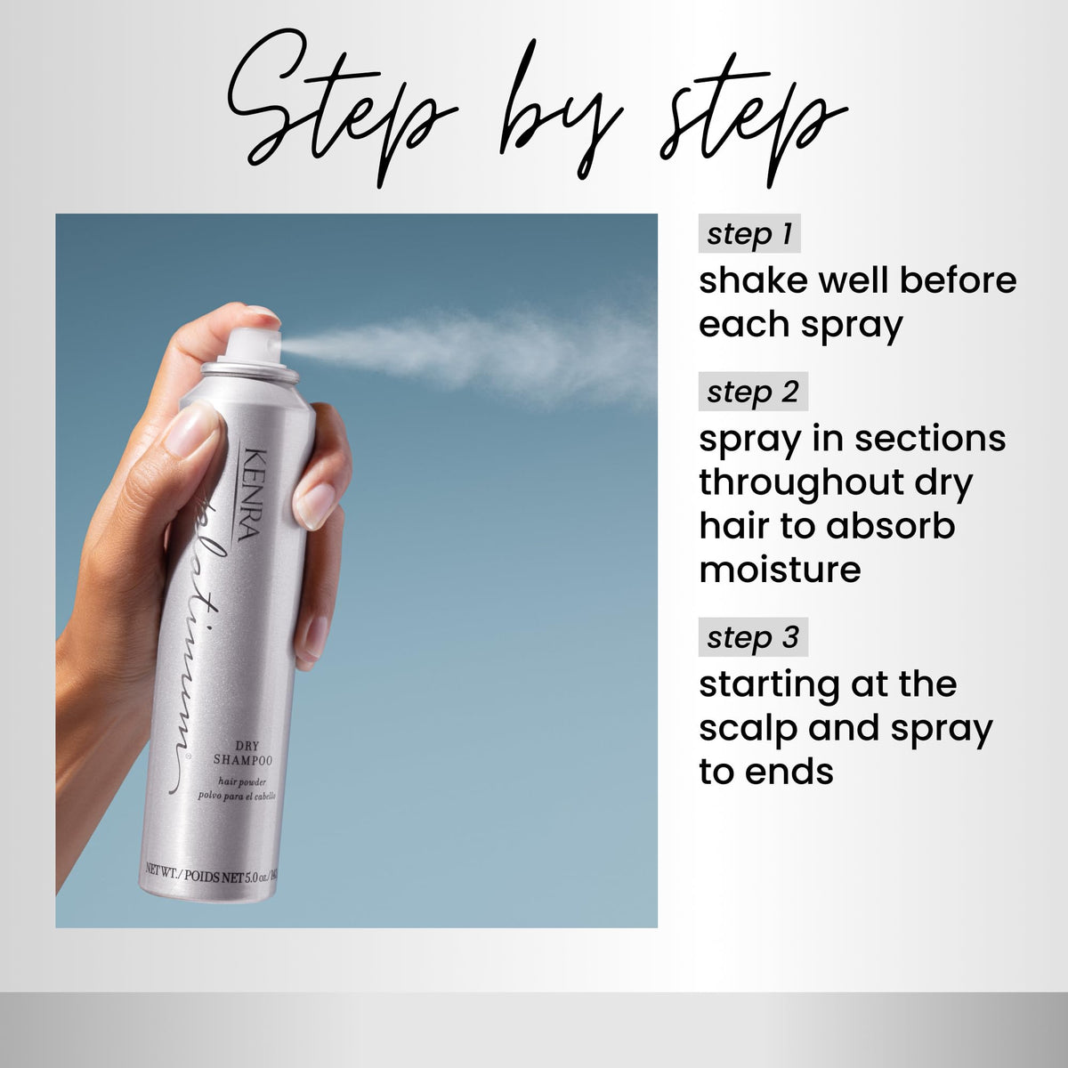 Oil Absorbing Dry Shampoo Spray J9966