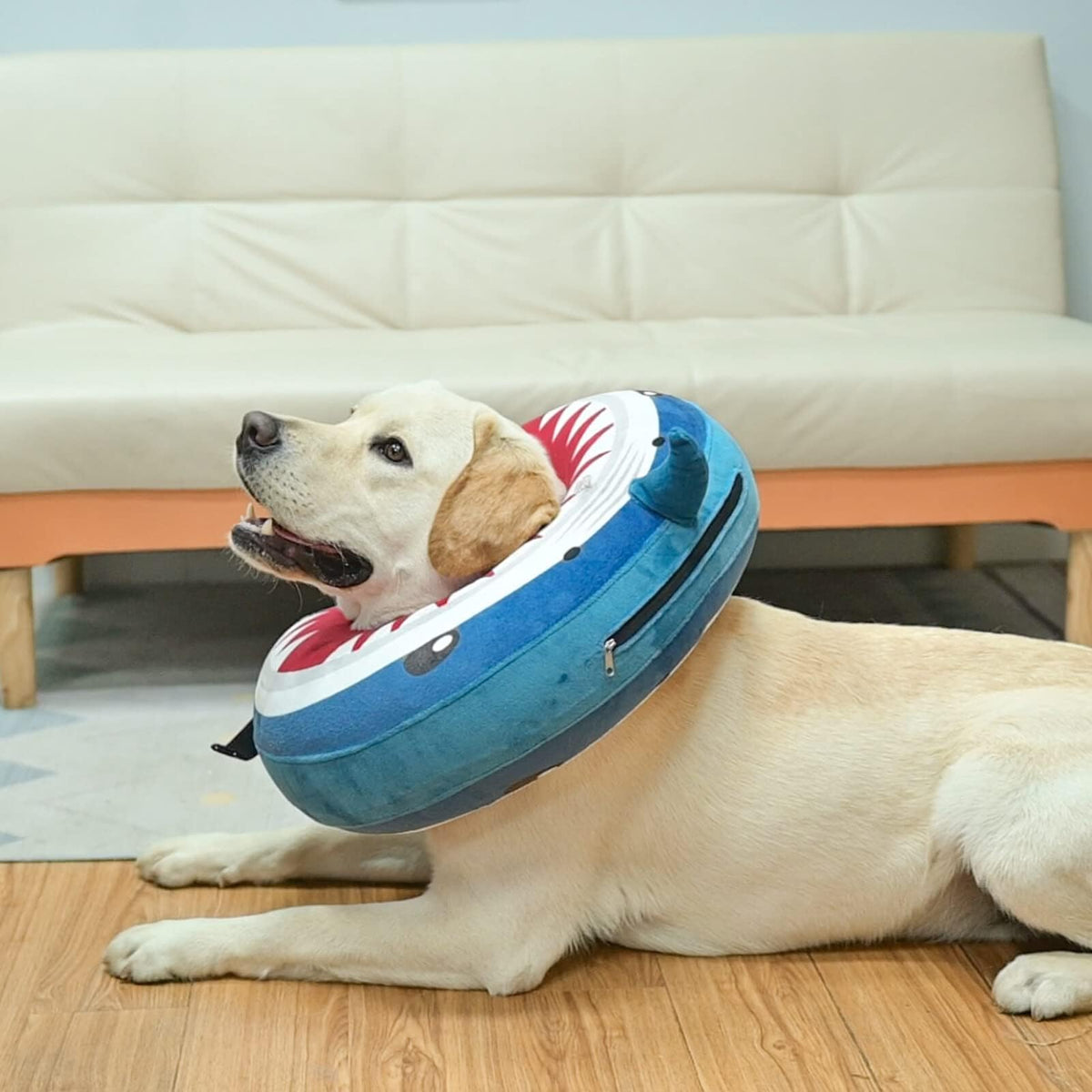 Dog Cone Collar Alternative U152