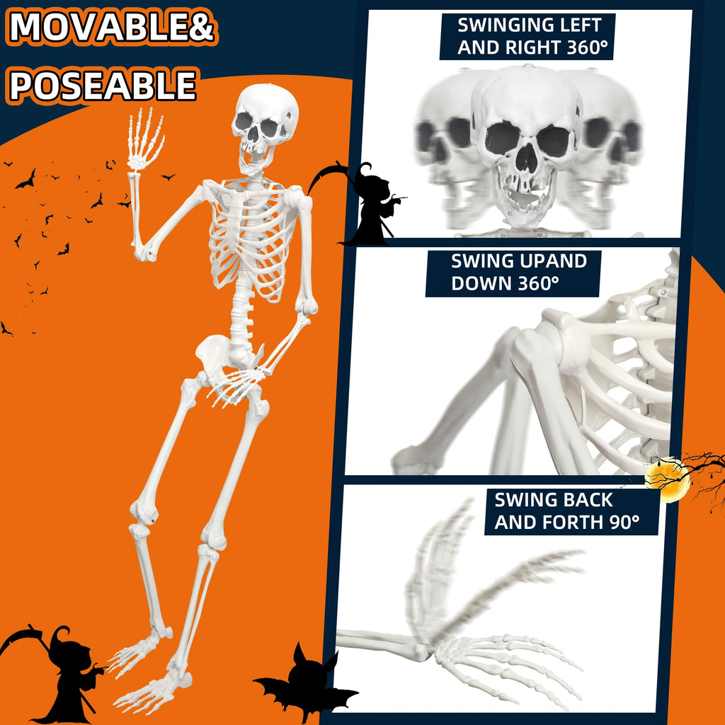 Life Size Posable Skeleton S731