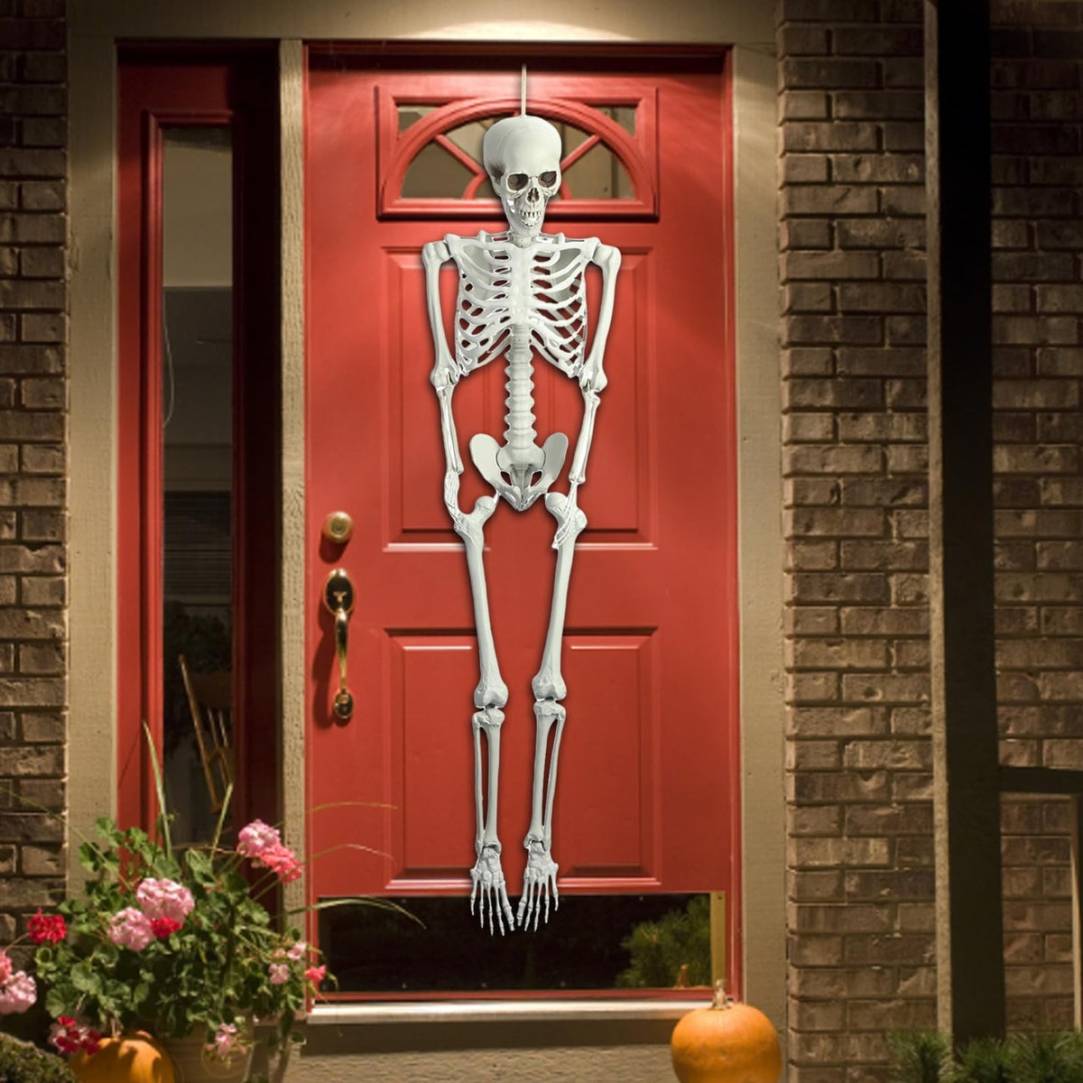 5.4Ft Posable Plastic Skeleton with Movable Joints B1819