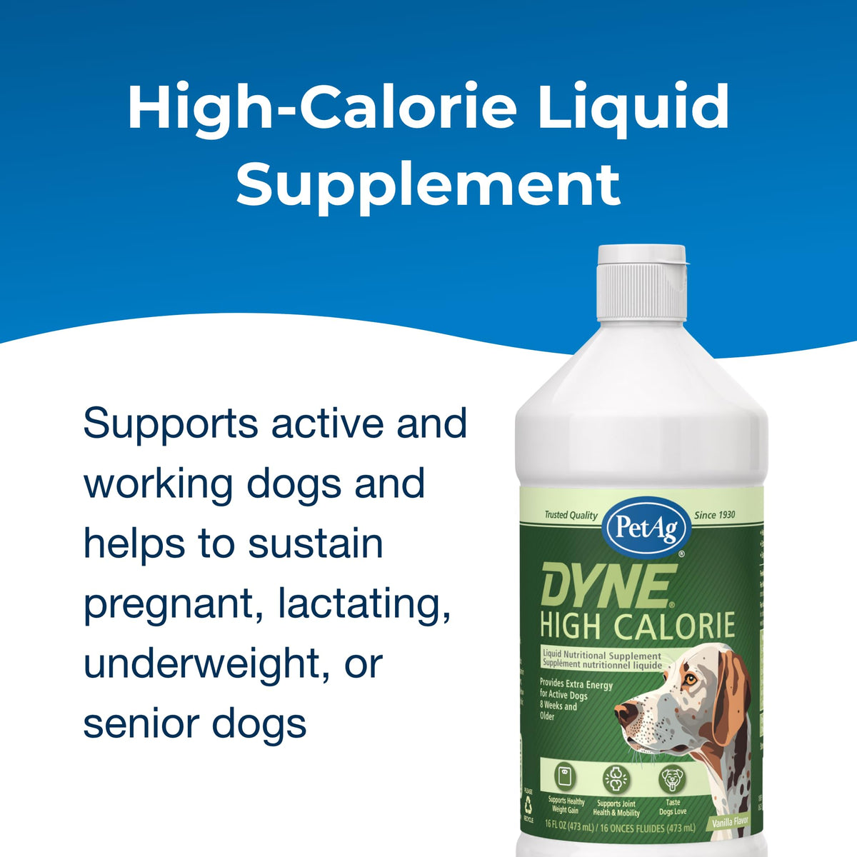 High Calorie Liquid Nutritional Supplement for Dogs & Puppies 16 oz F710538