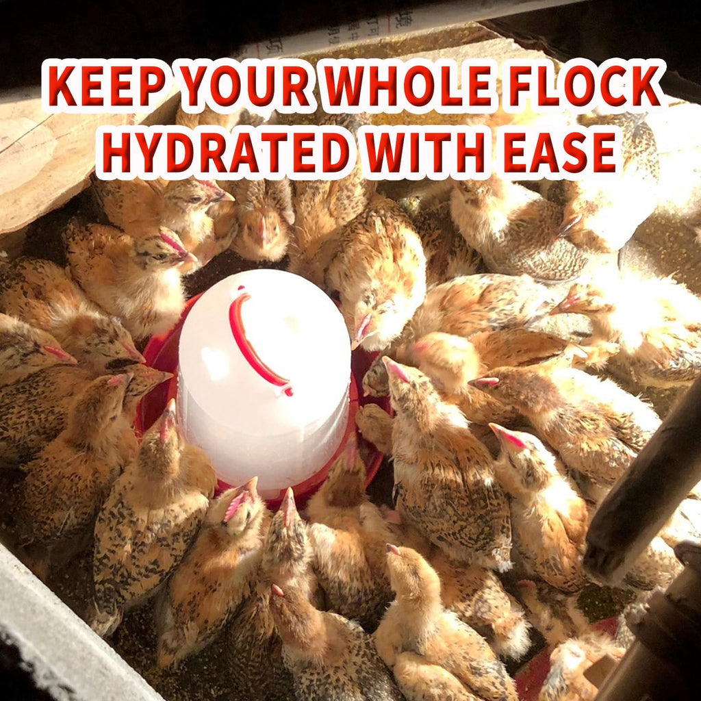 2 Pack 1.5L Plastic Chick Waterer D38100