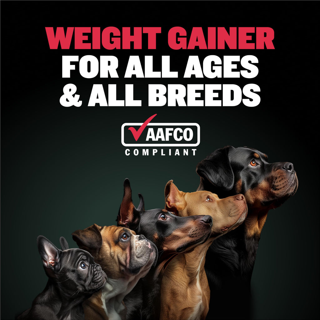 Dog Muscle & Weight Gain Liquid Bundle G957