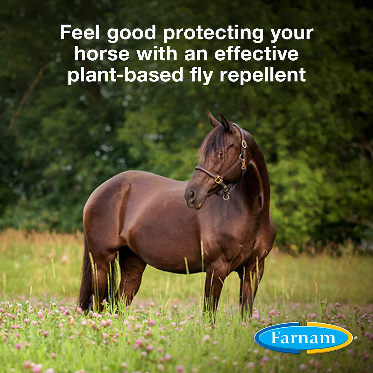 Botanical Fly Repellent 32 Ounces Spray Pack of 2 X93661