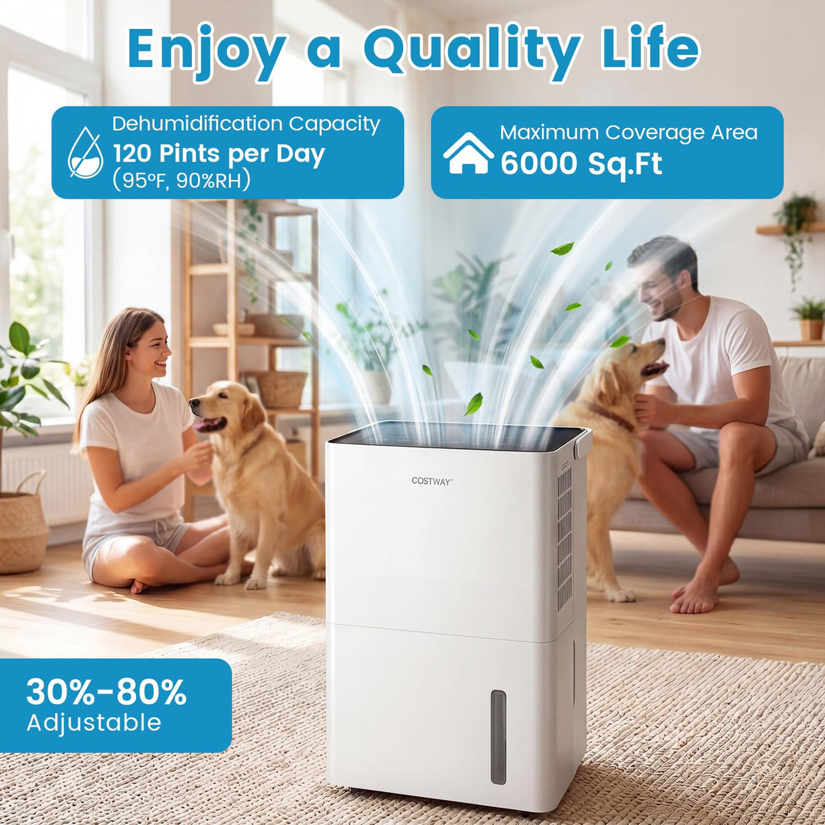 6000 Sq.Ft Compressor Dehumidifier R82410