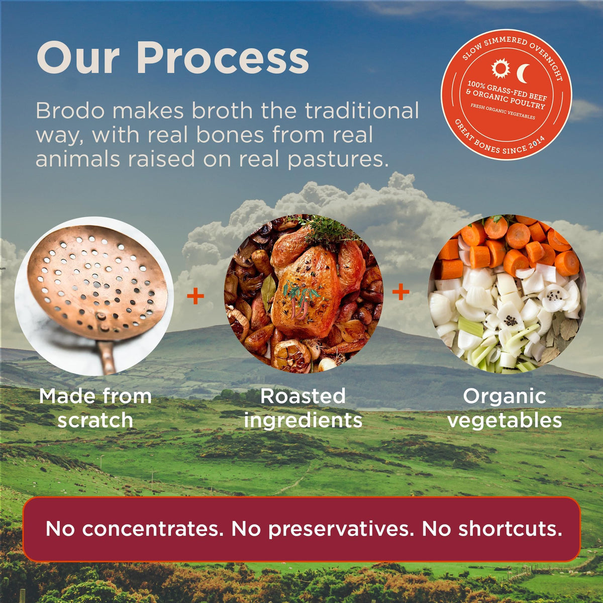 Collagen Rich Bone Broth Variety 6 x 8 oz X789584