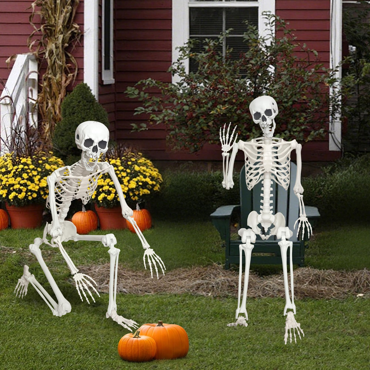 Life Size Posable Skeleton S731