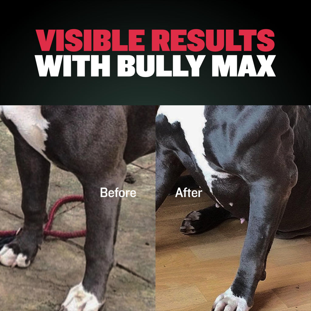 Dog Muscle & Weight Gain Liquid Bundle G957