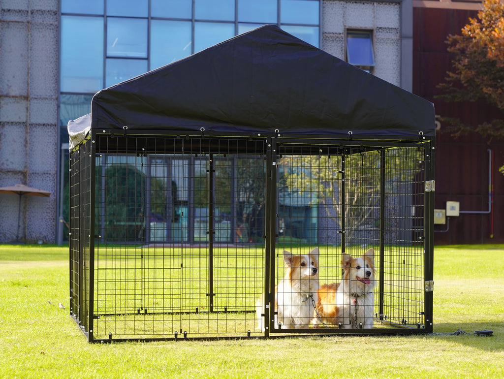 Large Outdoor Dog Enclosure with Roof Q300