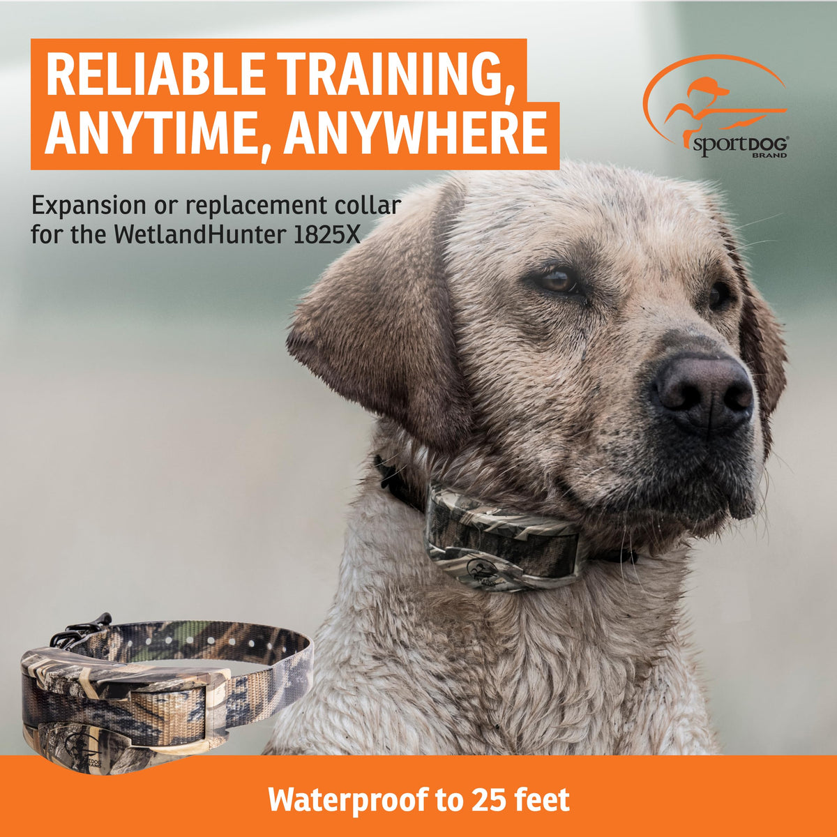Waterproof Realtree Camo Add-A-Dog Collar I886